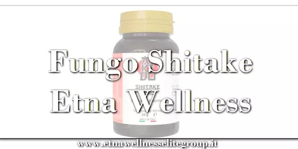 Fungo Shiitake (Lentinula Edodes): Proprietà e Integratore